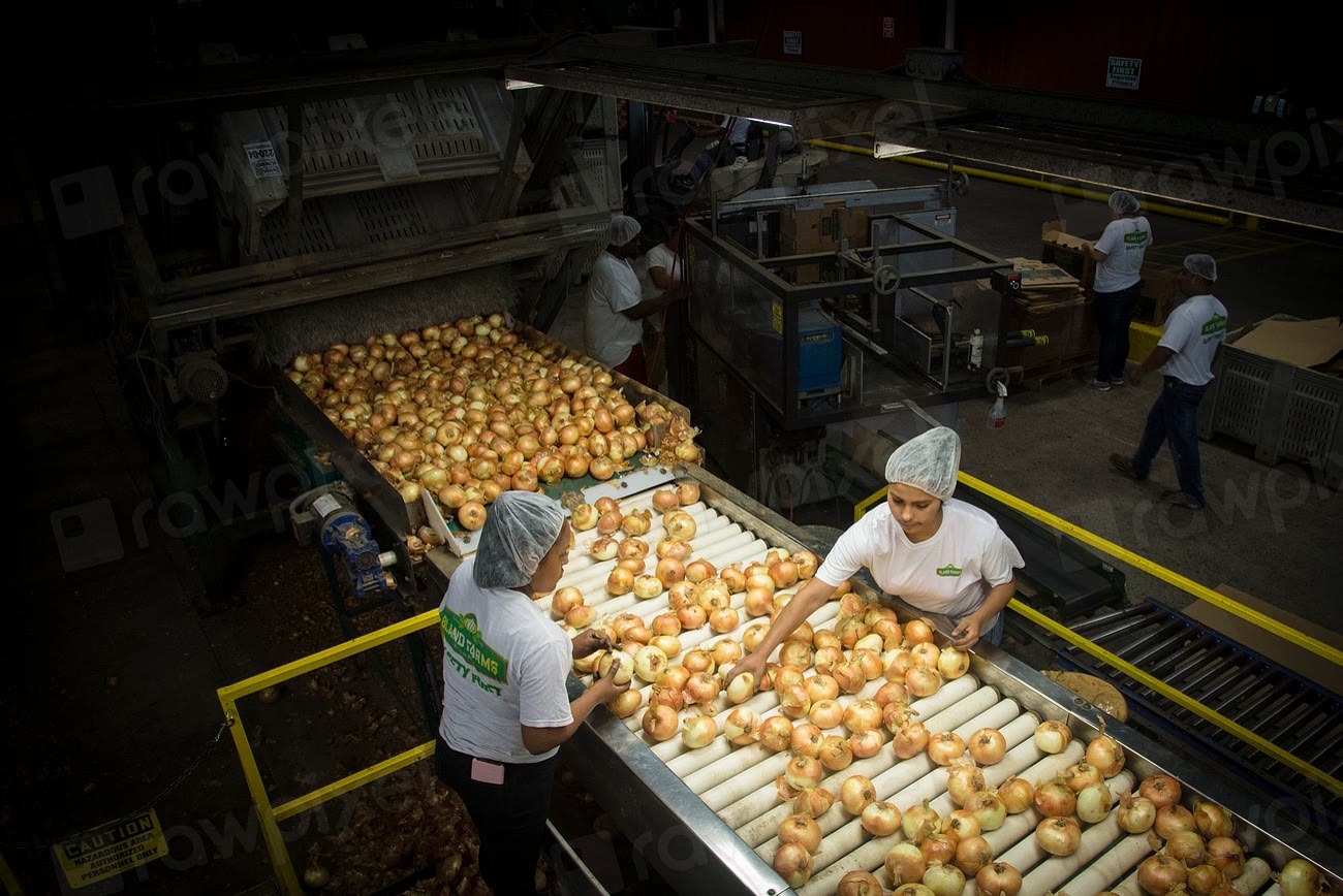 Fresh Food Foreign-Object Removal &amp; Grading