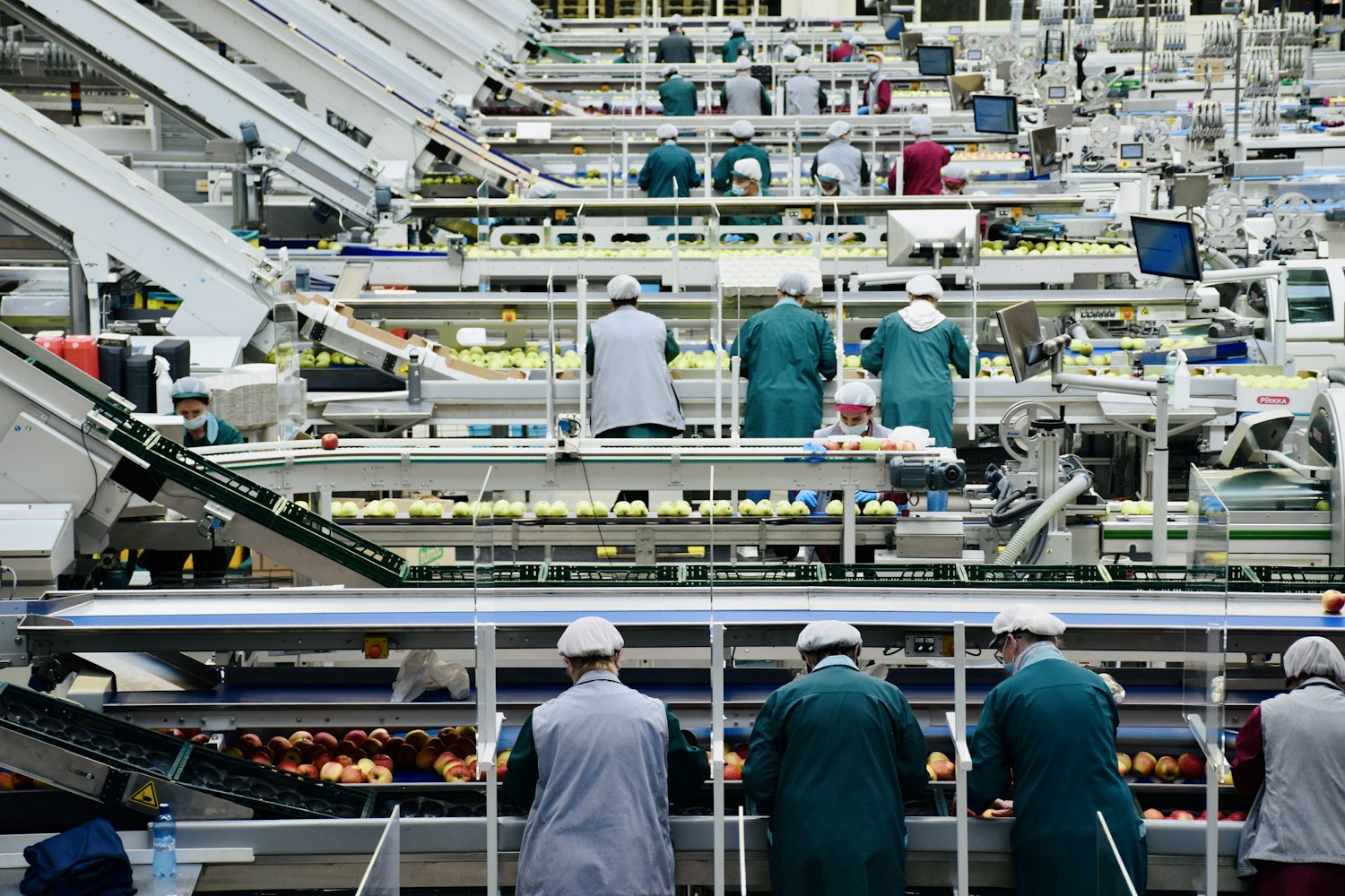 食品包装与异物检测